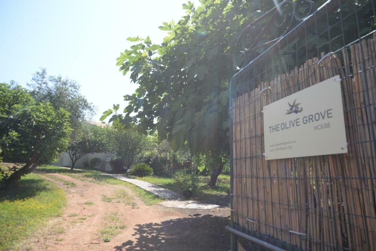 The Olive Grove House Vila Kassiopi Exterior foto